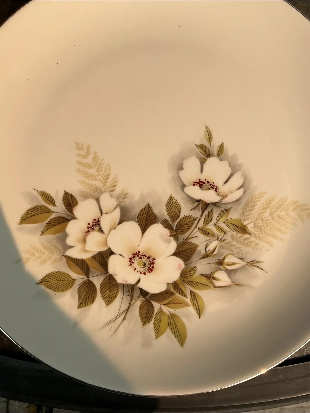 Nancy Prentiss Fine China Classic Floral Ceramic Dinner Plates - Ivory Rose